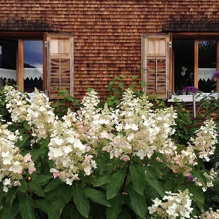 Mama Kaethe - Appartement Nenzing