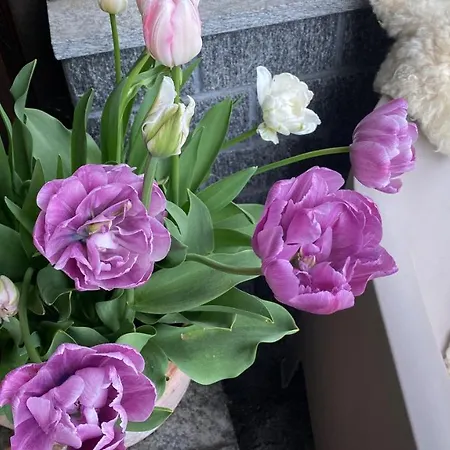 Apartment Mama Kaethe - *
