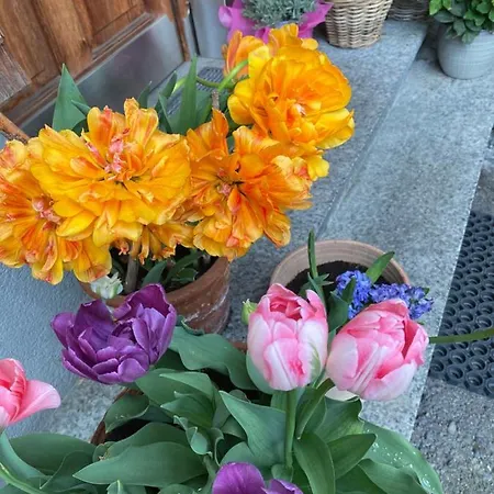 Mama Kaethe - * 넨징