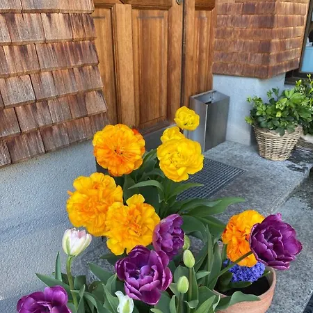 Mama Kaethe - 아파트